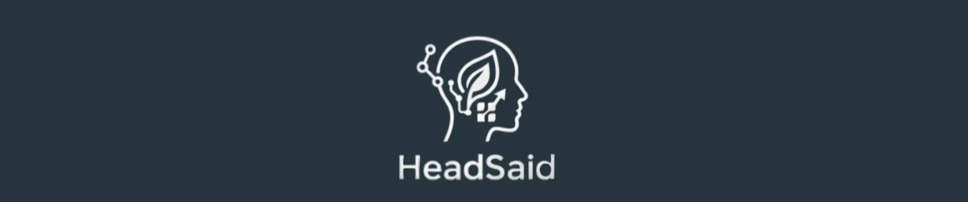 Logo HeadSaid Consulting