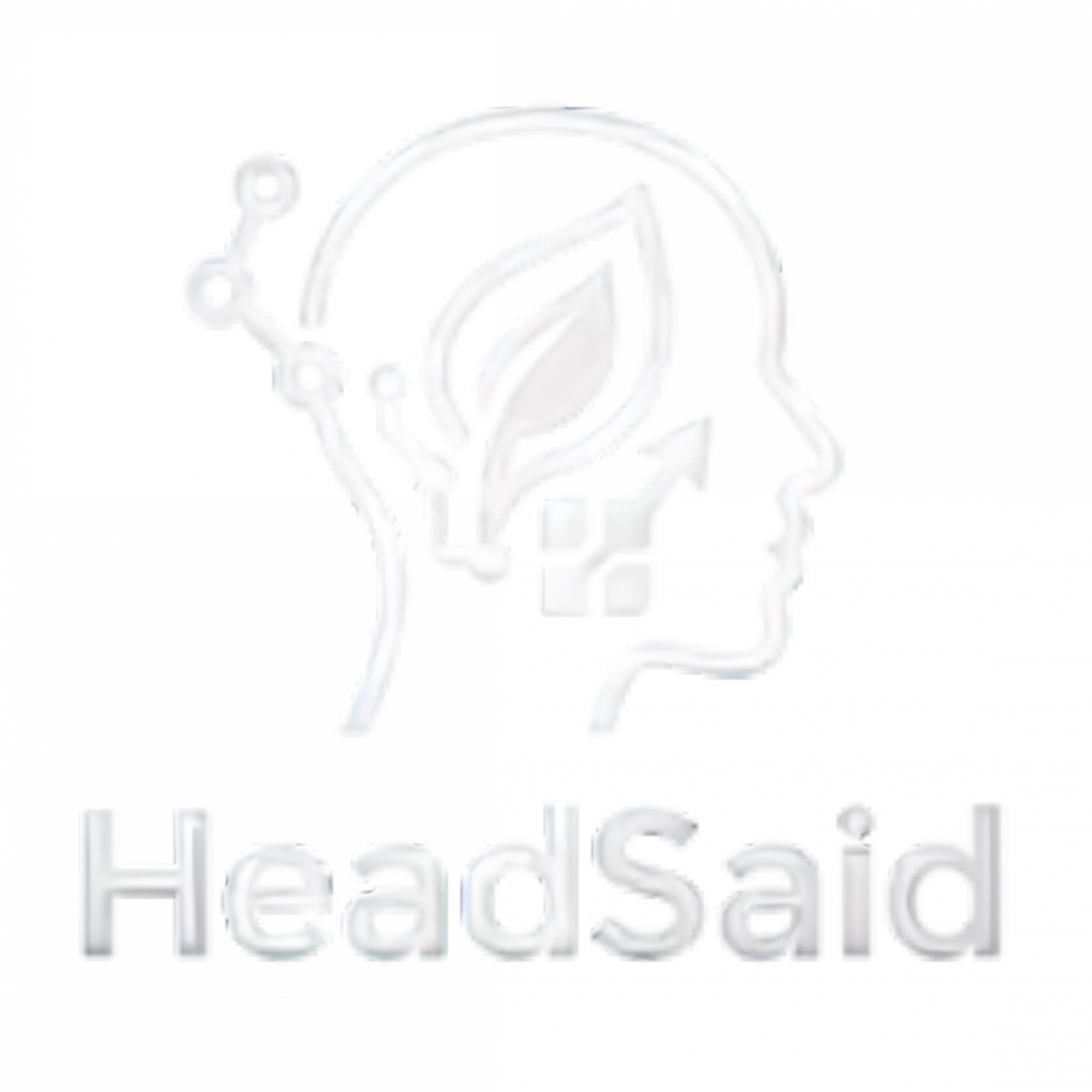 Logo HeadSaid Consulting