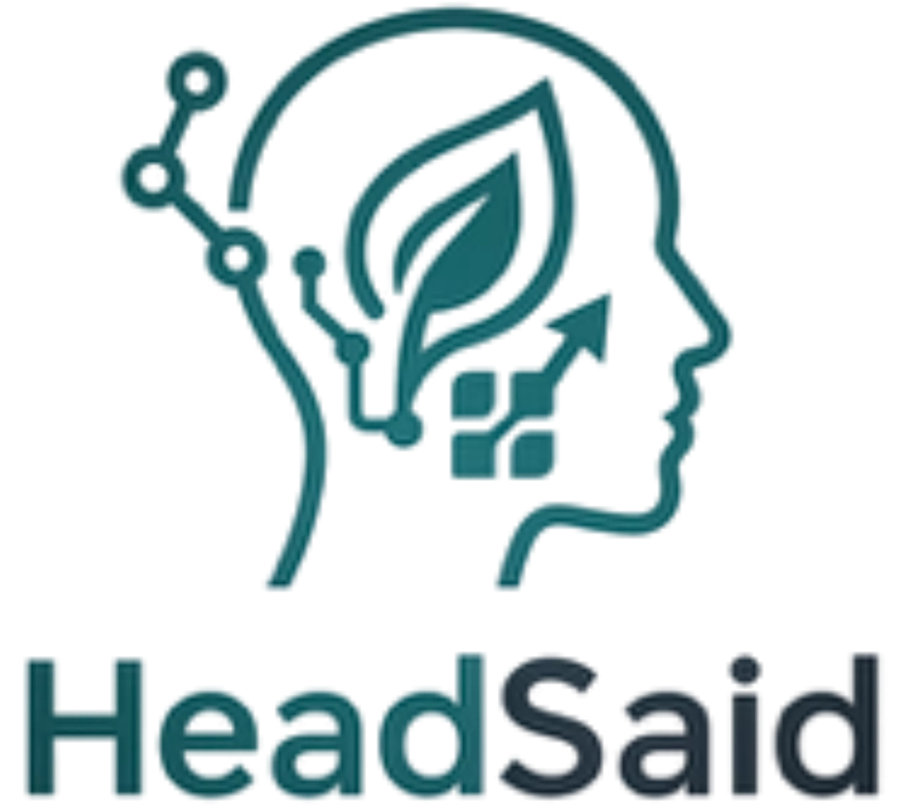 HeadSaid Consulting